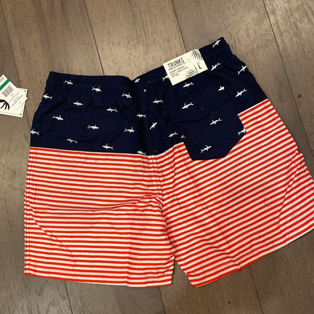 Swim Trunks - Picture 2 of 2